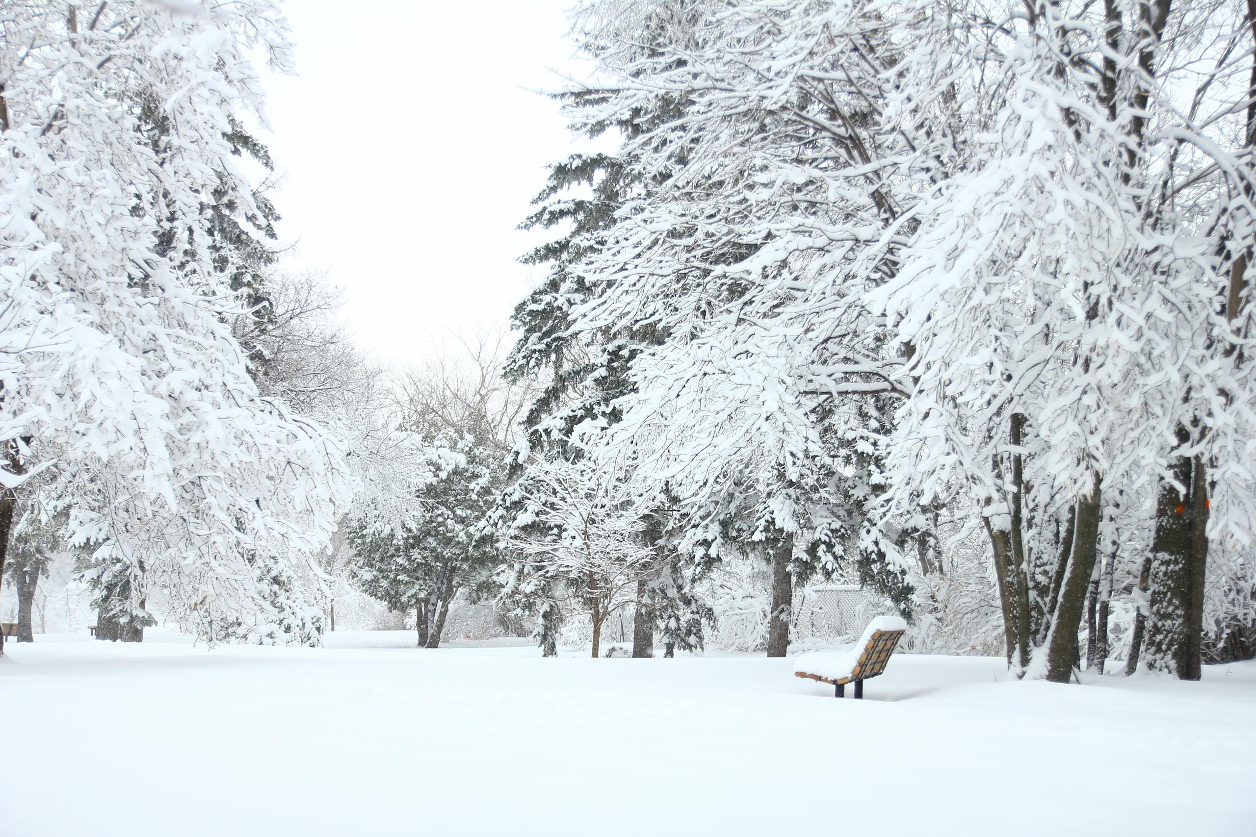 snow rider 3d